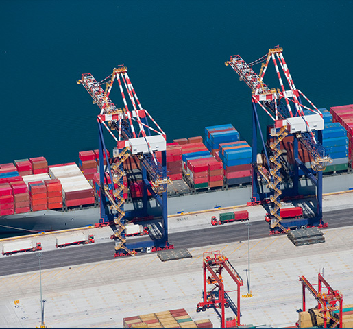 Strategic Location & Logistics Efficiency